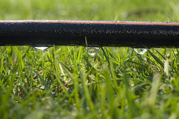 flower bed irrigation soaker pipes