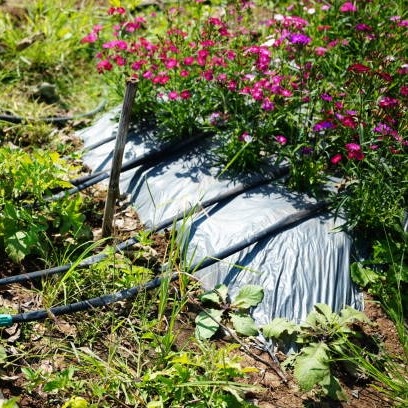 water-saving garden drip hoses