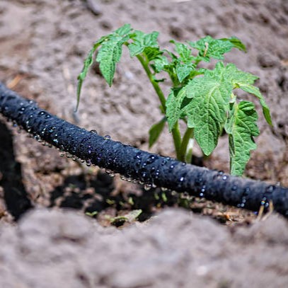 vegetable garden irrigation hoses
