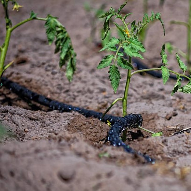 irrigation soaker hoses