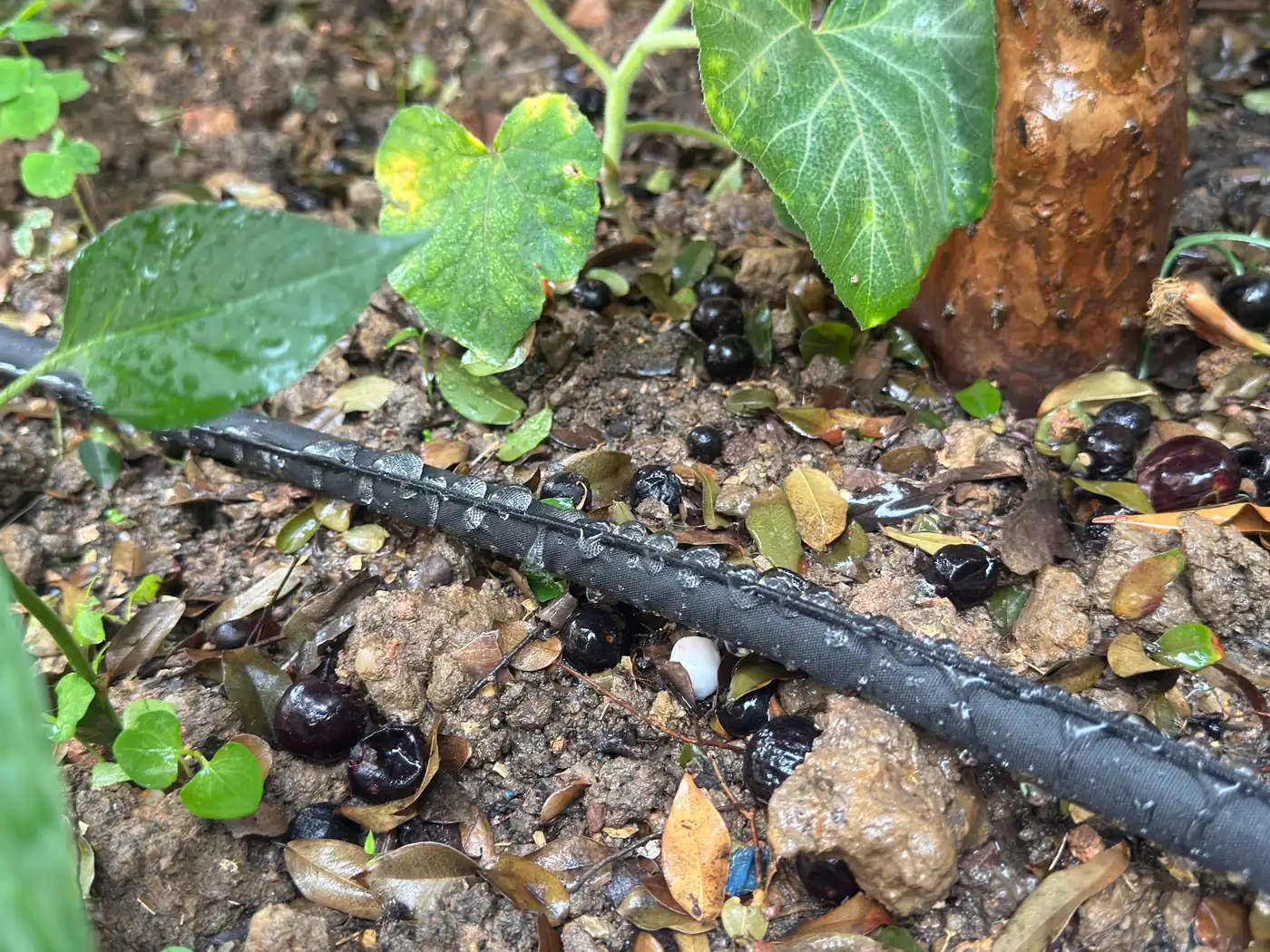 Irrigation Products