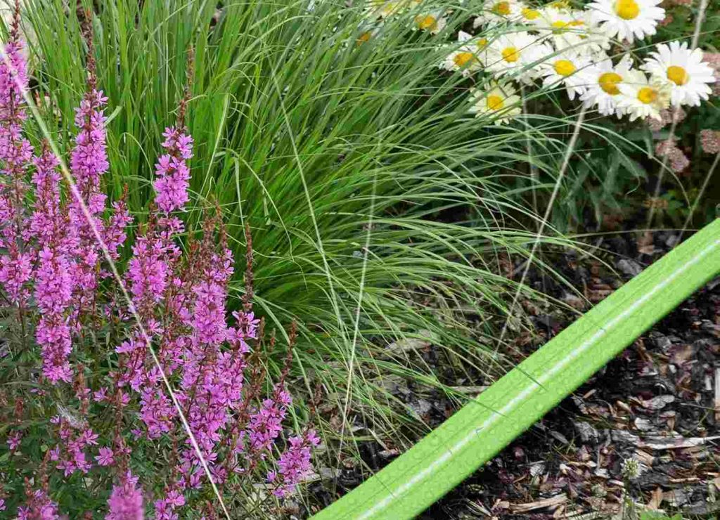 micro-sprinkler garden hose