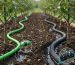 garden irrigation pipe system