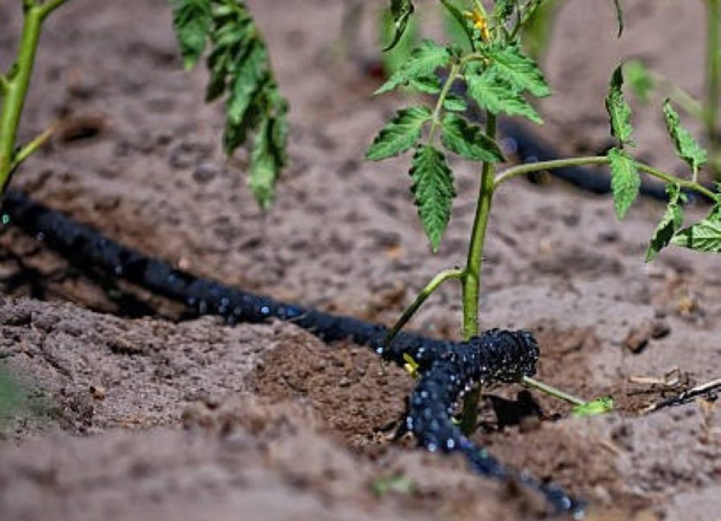 irrigation soaker hoses